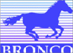  Bronco Models