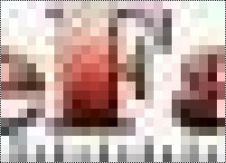  - ScaleFan.ru