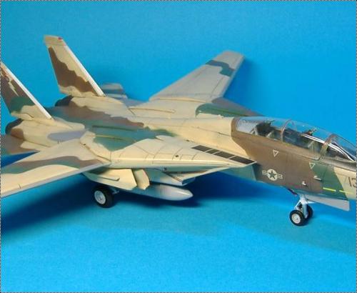  1/72 F-14 Tomcat -  13