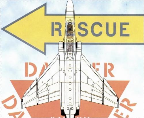  Icarus Decals 1/48 F/RF-4 Stencil Data - lack